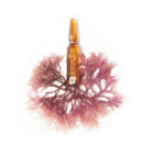 KUORA FLASH AMPOULE LIFTING IMMEDIAT