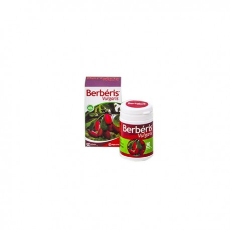 BERBERIS VULGARIS PHYTO D’ART 30 GELULES
